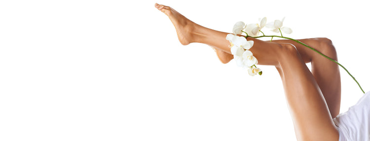 Clean+Easy Desktop Banner